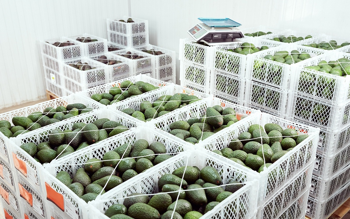 U.S. Post-Harvest Sector