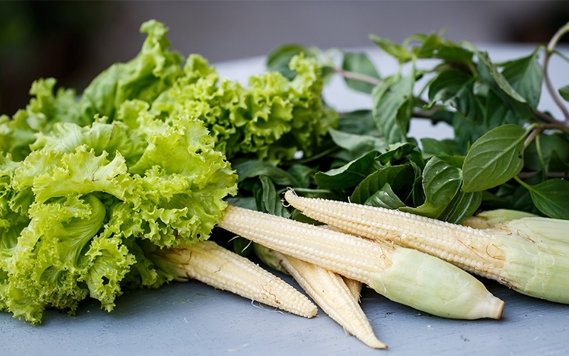 Headline: Tackling Hunger and Food Waste: A Solution for a Healthier Future