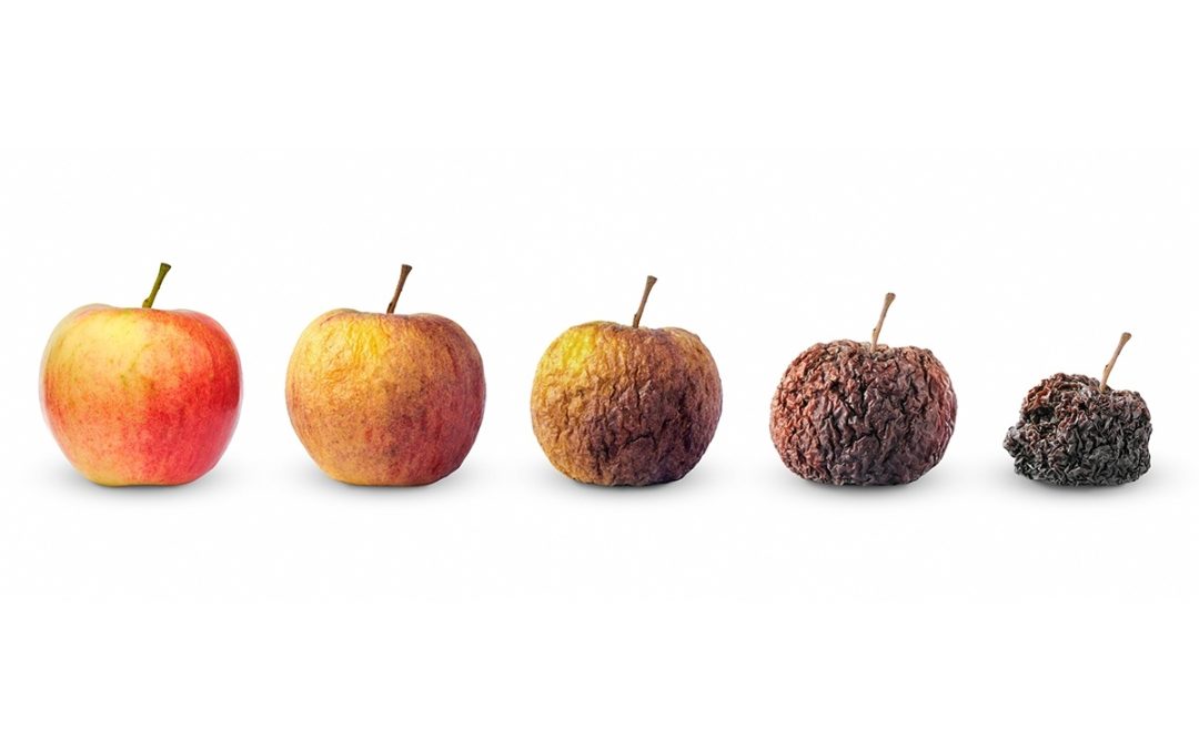 The Hidden Dangers of Skipping Pre-Cooling and Cold Storage for Fresh Produce