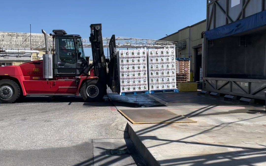 The Potential of Smart Cold Storage: A Path to Sustainability