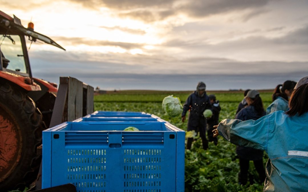 From Farm to Table: How Cold Chain Innovation Ensures Food Quality