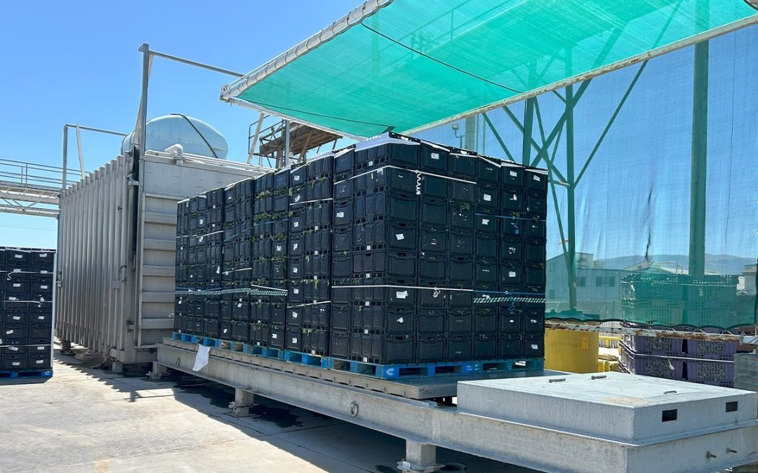 The Importance of Vacuum Cooling and Vacuum Tubes as Precooling Equipment