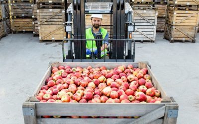 Rethinking the Cold Chain: 8 Shifts Reshaping Post-Harvest Logistics