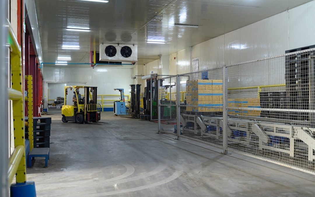 From Field to Fork: How Integrated Cold Storage and Pre-Cooling Solutions Protect Produce Quality and Reduce Food Waste
